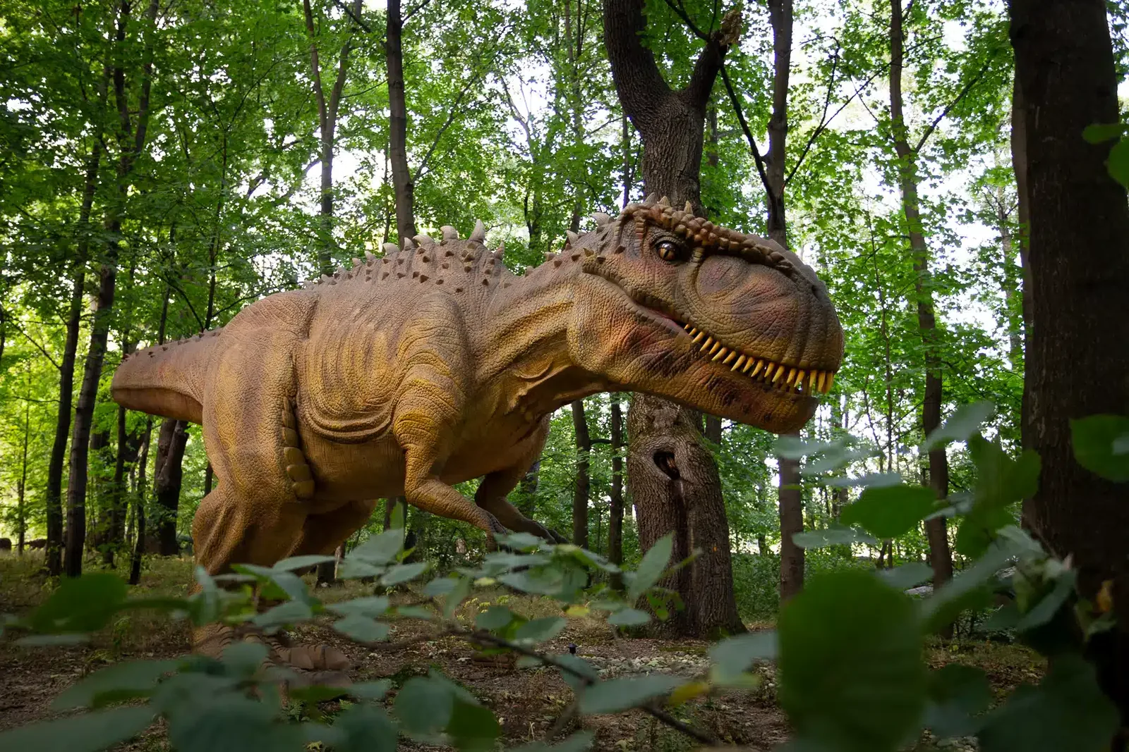 Tyranozaur w leśnej części Parku Ruchomych Dinozaurów w Zatorlandzie