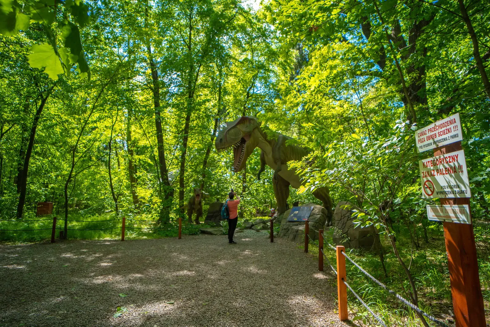 Leśna ścieżka wśród ruchomych dinozaurów w Parku Ruchomych Dinozaurów w Zatorlandzie